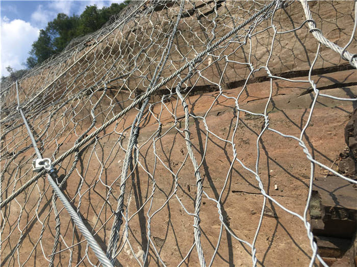 ����(d��ng)�ߏ�(qi��ng)�ӽ�W(w��ng)