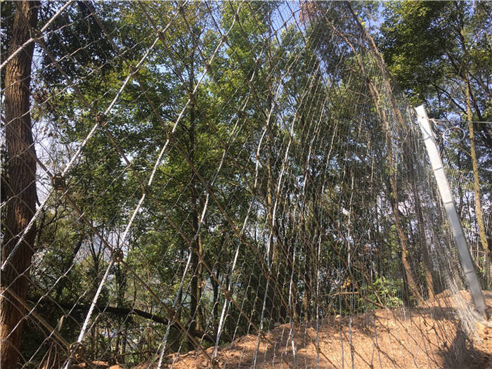 ���ӷ��o�W